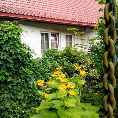 Bialy Dom Aparthotel Ściegny Eksteriør bilde