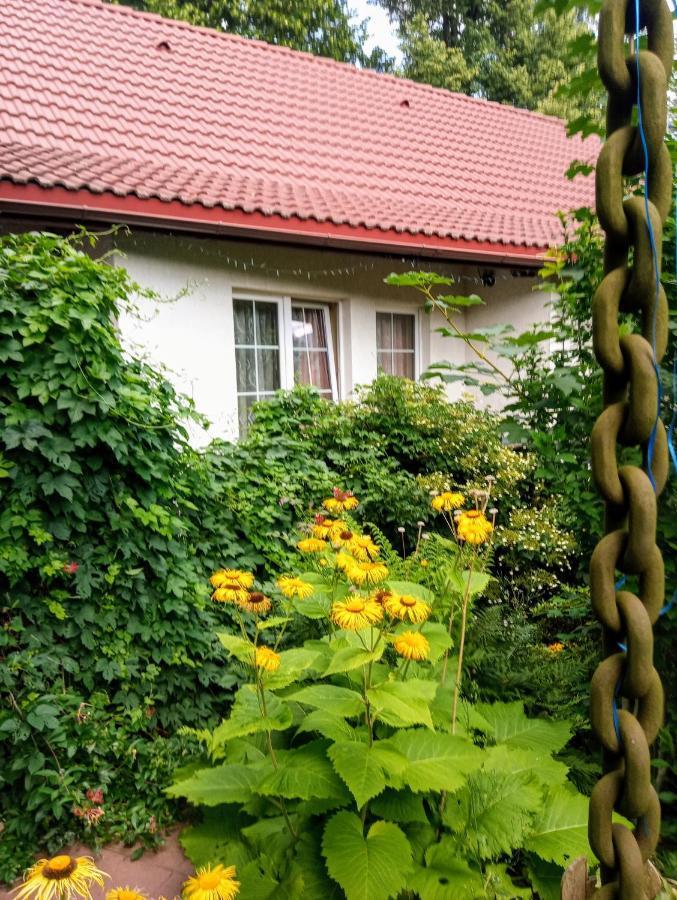 Bialy Dom Aparthotel Ściegny Eksteriør bilde